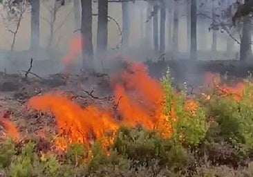 Imagen del incendio que sacude los montes de Anllares del Sil.