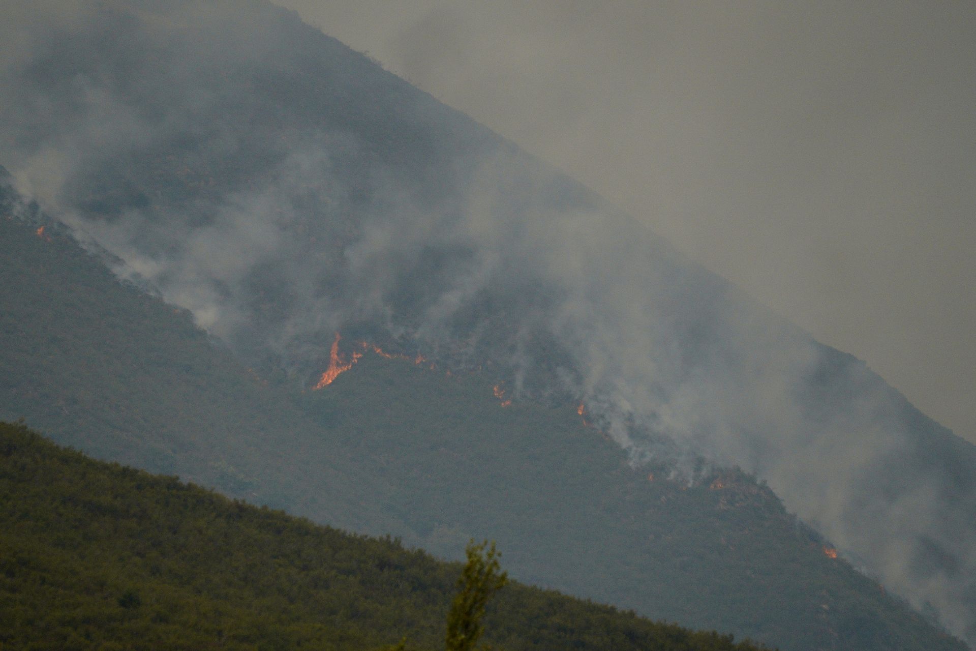 Incendio en Anllares del Sil.