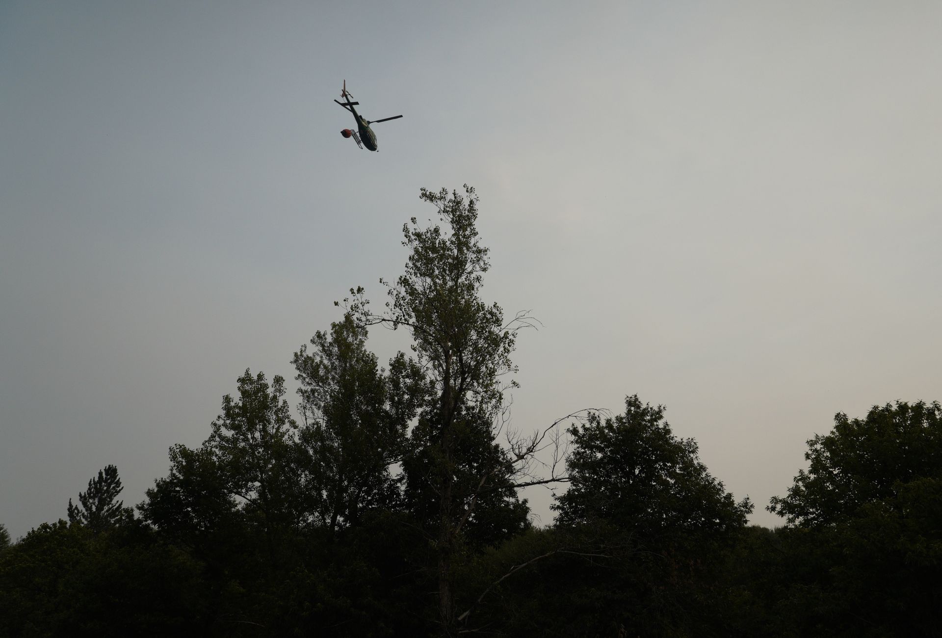 Incendio en Anllares del Sil.
