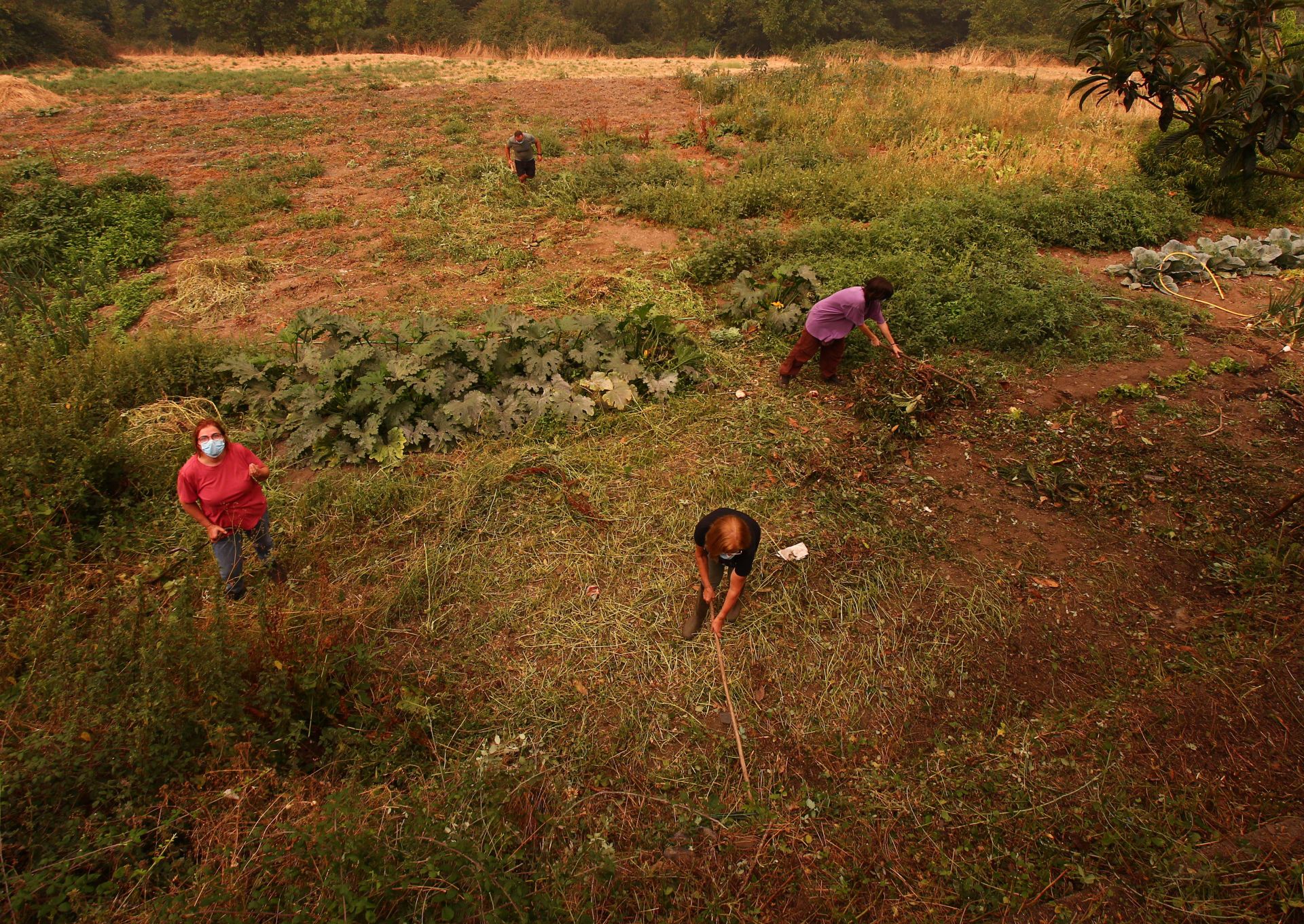 Las imágenes del desalojo de los vecinos de Lusio, por el incendio