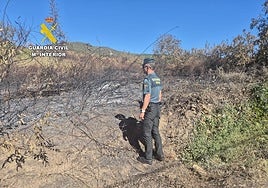 Imagen de un Guardia Civil en uno de los puntos del incendio provocado en San Juan de Paluezas.