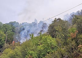 Imagen del incendio entre las localidades bercianas de Cancela y Aguiar, en el municipio de Sobrado.