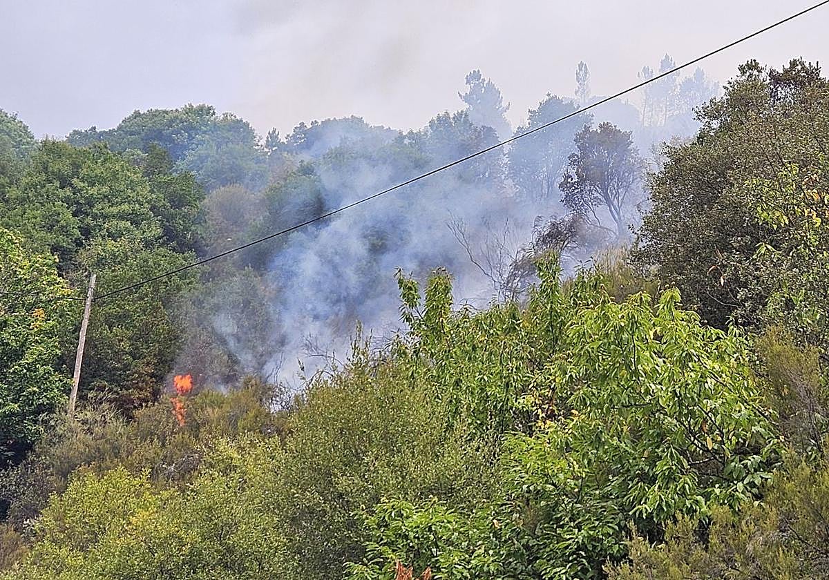 Imagen del incendio entre las localidades bercianas de Cancela y Aguiar, en el municipio de Sobrado.