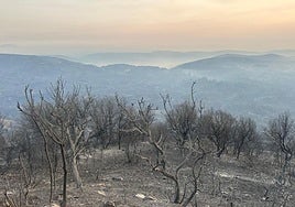 Entorno de las Médulas.