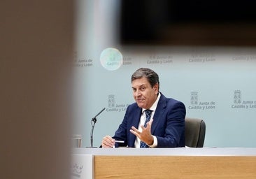 La Junta descarta convertir en pública la central de Forestalia y apuesta por que sea «íntegramente privada»