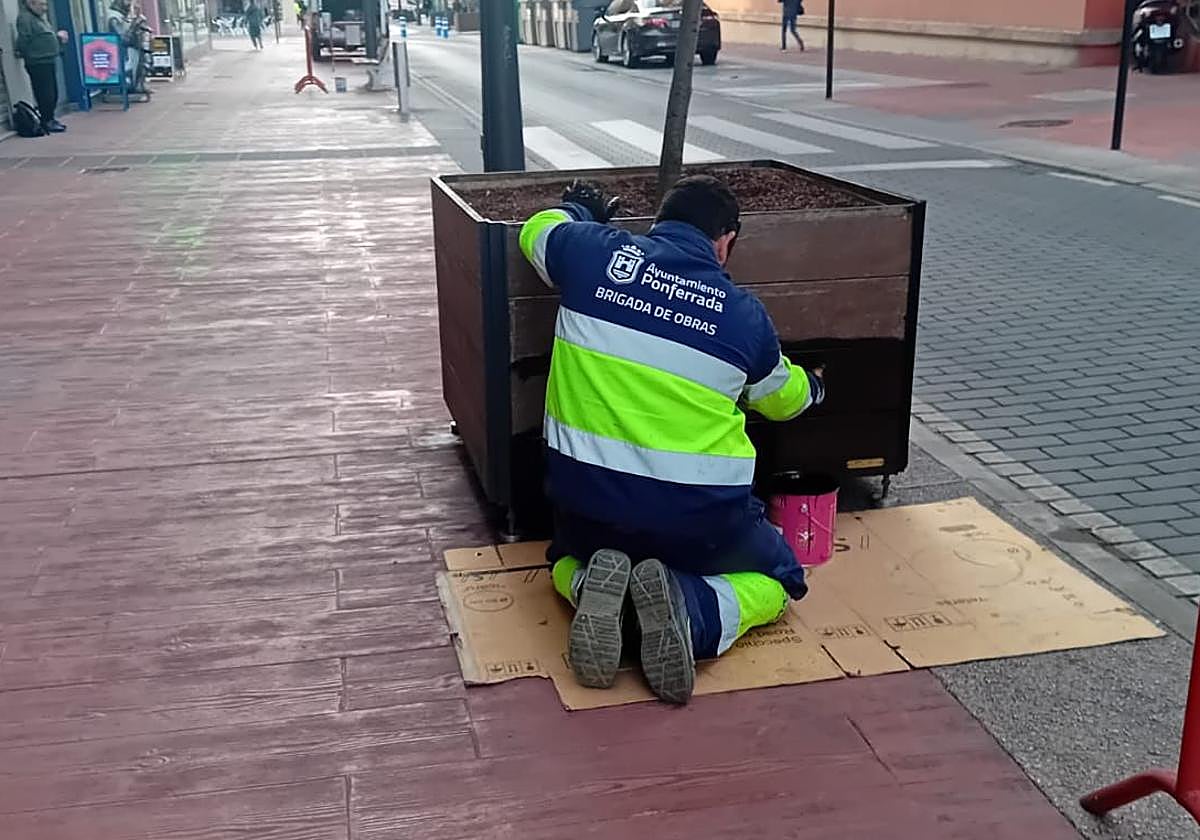 Un operario de la brigada de obras de Ponferrada barniza un macetero en la calle Gómez Núñez.
