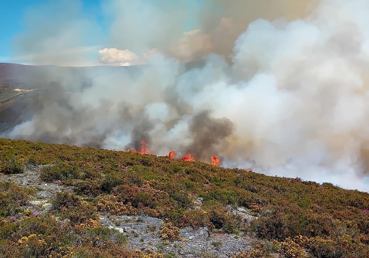 Imagen de un incendio en El Bierzo.