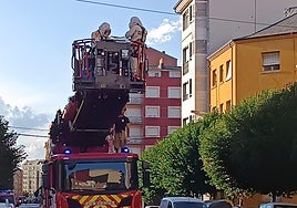 Los bomberos durante la retirada del nido de avispas velutinas en el centro de Ponferrada.