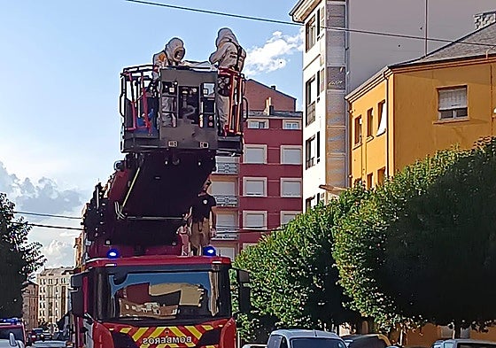 Los bomberos durante la retirada del nido de avispas velutinas en el centro de Ponferrada.