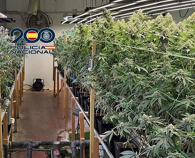 Imágenes de la explotación de cultivo bajo techo de marihuana en el Polígono de Montearenas en Ponferrada.