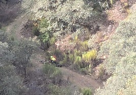 El ciclista siniestrado.