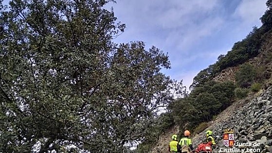 Palacios llora la muerte de David en el Pajariel: «Estamos muy afectados, era un chico muy conocido»