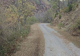 Imágenes de la carretera de acceso a Carracedo de Compludo.