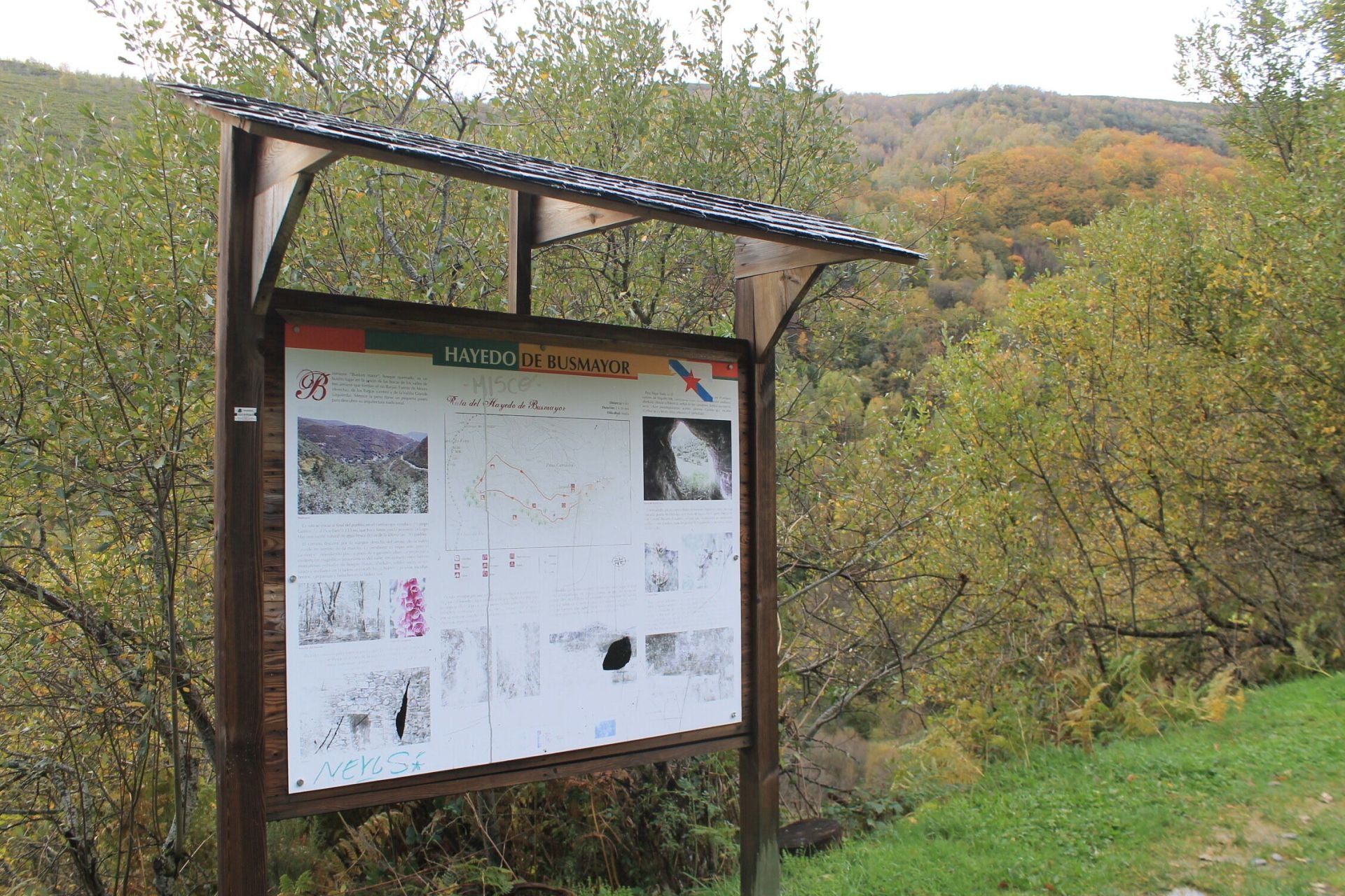 Las imágenes del hayedo de Busmayor