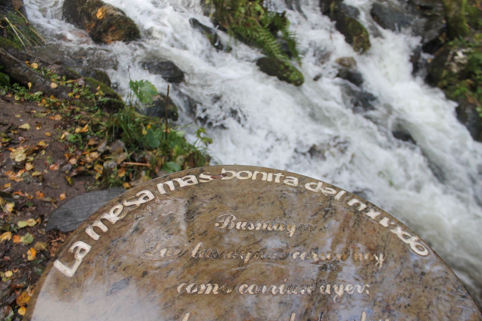 Las imágenes del hayedo de Busmayor