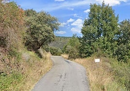 Carretera afectada.