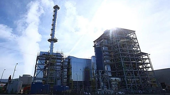 Forestalia seguirá al frente de la central de biomasa de Cubillos: «No hay intención de desprenderse de la planta»