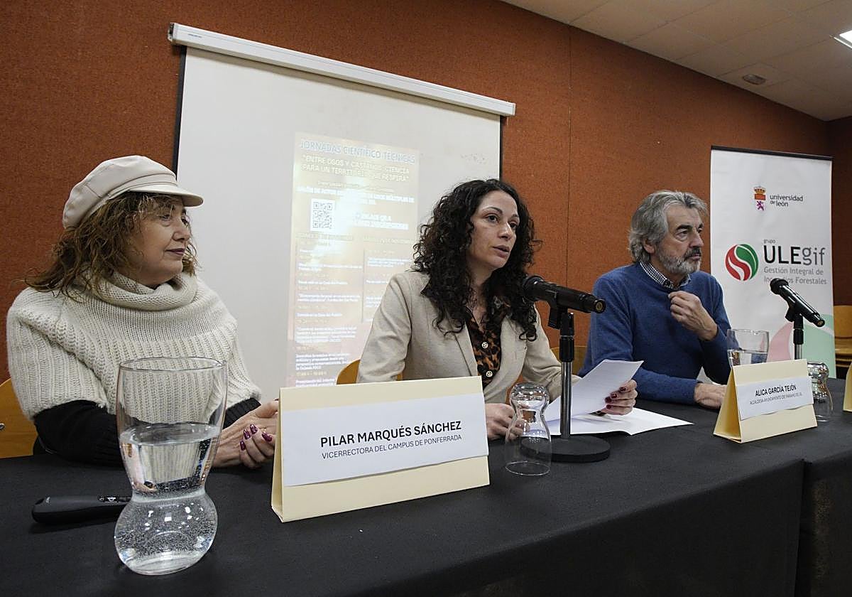 La alcaldesa de Páramo del Sil, Alicia García (C), junto al director de la Fundación Oso Pardo, Guillermo Palomero, y la vicerrecptora del Campus de Ponferrada, Pilar Marqués (I), durante la inauguración de las jornadas.