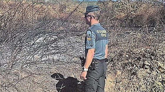 Piden cuatro años y cinco meses de prisión para el presunto autor de un incendio en Borrenes