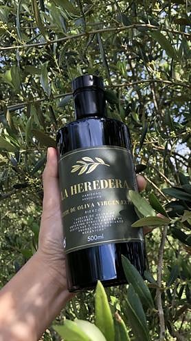 Imagen secundaria 2 - Alba Gancedo en el olivar situado junto al Camino de Santiago en Cacabelos de donde sale el aceite 'La Heredera'.