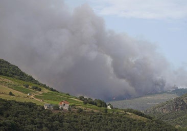 La peor pesadilla vuelve a León: cuatro incendios activos en nivel 1 de peligrosidad
