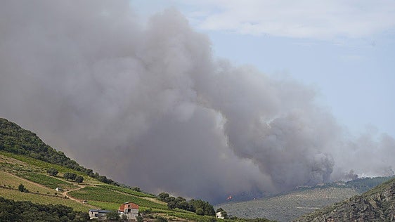 La peor pesadilla vuelve a León: cuatro incendios activos en nivel 1 de peligrosidad