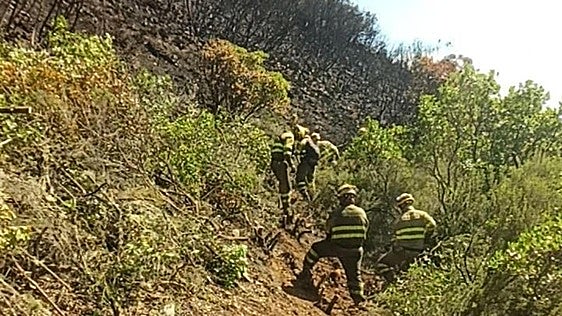 Los incendios no dan tregua en El Bierzo: siguen en nivel 1 los cuatro de Pradela, Congosto, Vega de Valcarce y San Vicente