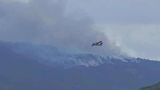 Un incendio en Lombillo de los Barrios moviliza a varios medios de extinción
