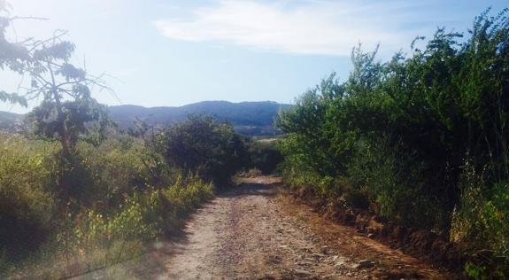 Camino de une Villar de los Barrios y San Lorenzo.