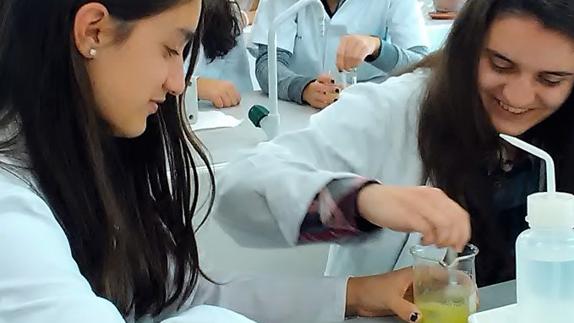 Alumnas del IES Gil y Carrasco realizan prácticas de extracción de ADN vegetal en el campus.