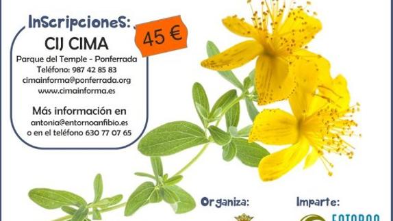 Cartel del curso.