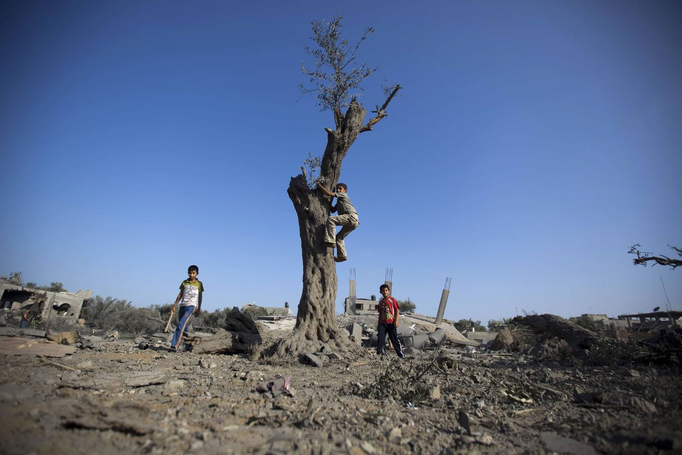 Destrucción y desolación en Gaza