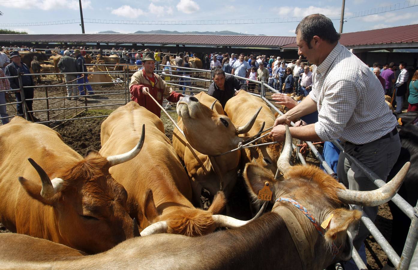 Feria de la Ascensión en Llanera
