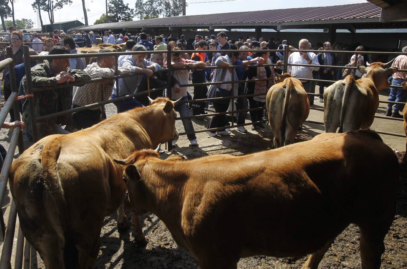Feria de la Ascensión en Llanera