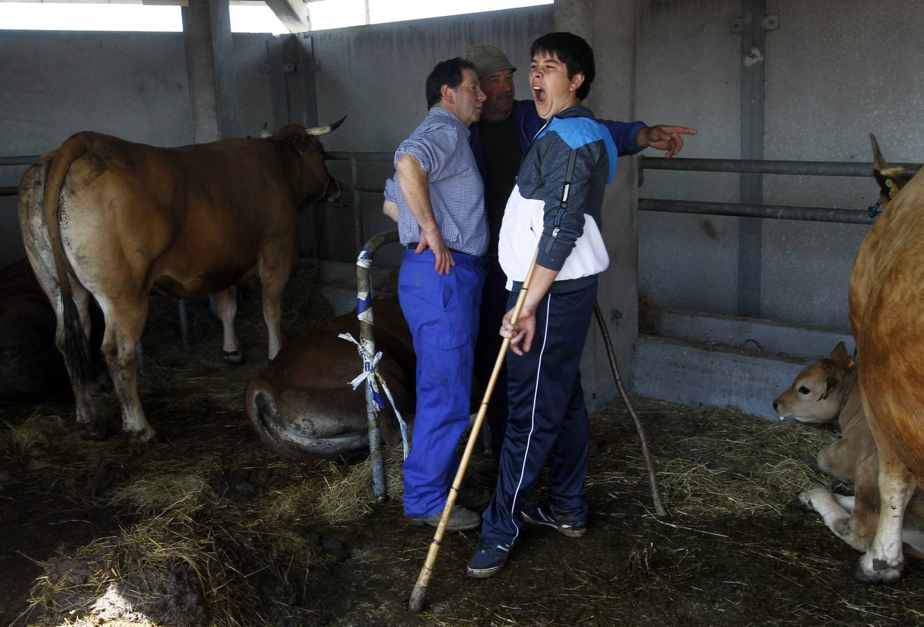 Feria de la Ascensión en Llanera