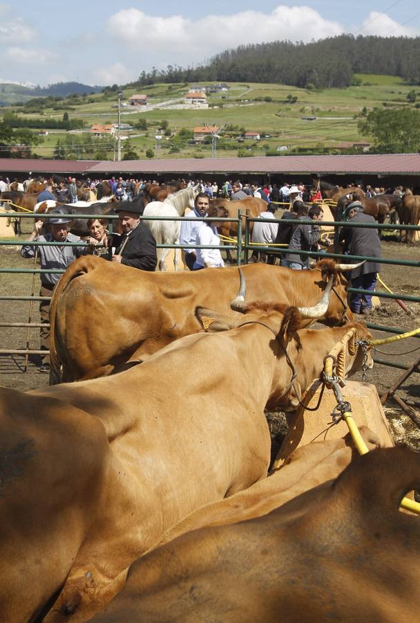 Feria de la Ascensión en Llanera