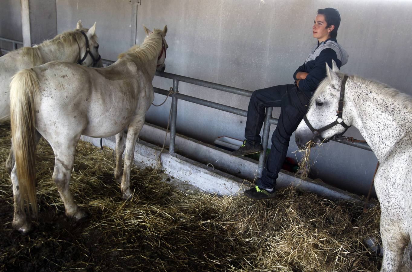 Feria de la Ascensión en Llanera
