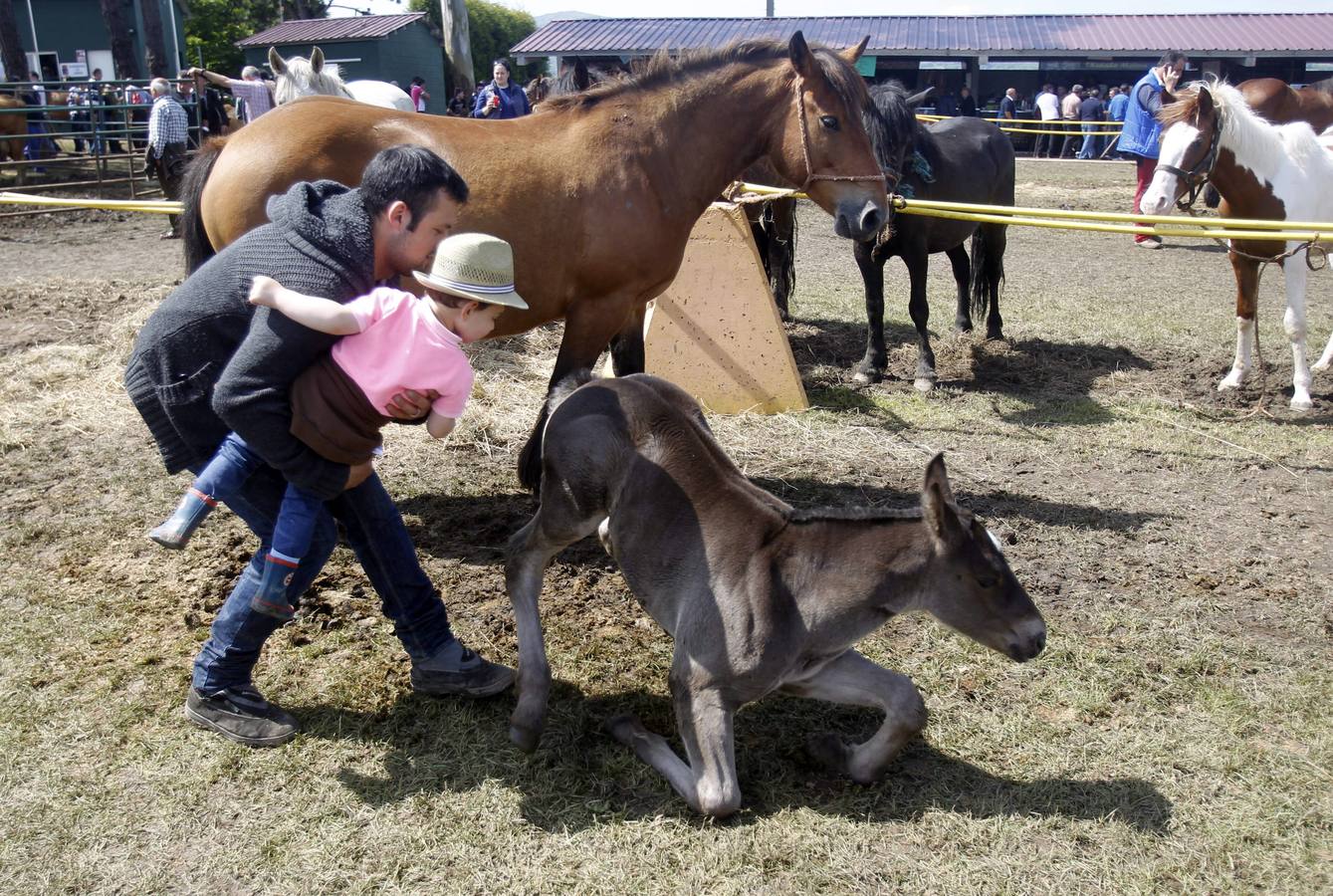 Feria de la Ascensión en Llanera