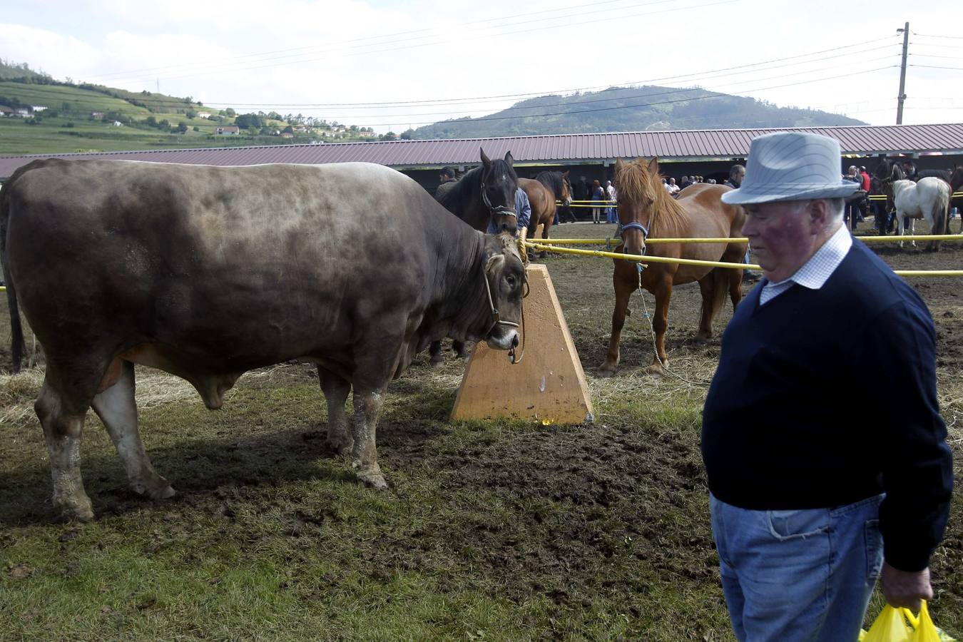 Feria de la Ascensión en Llanera