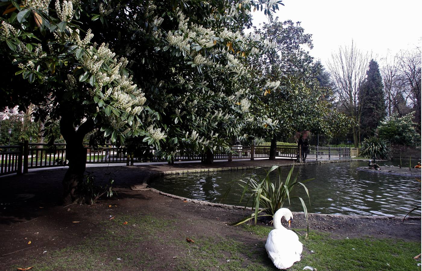 El Campo San Francisco