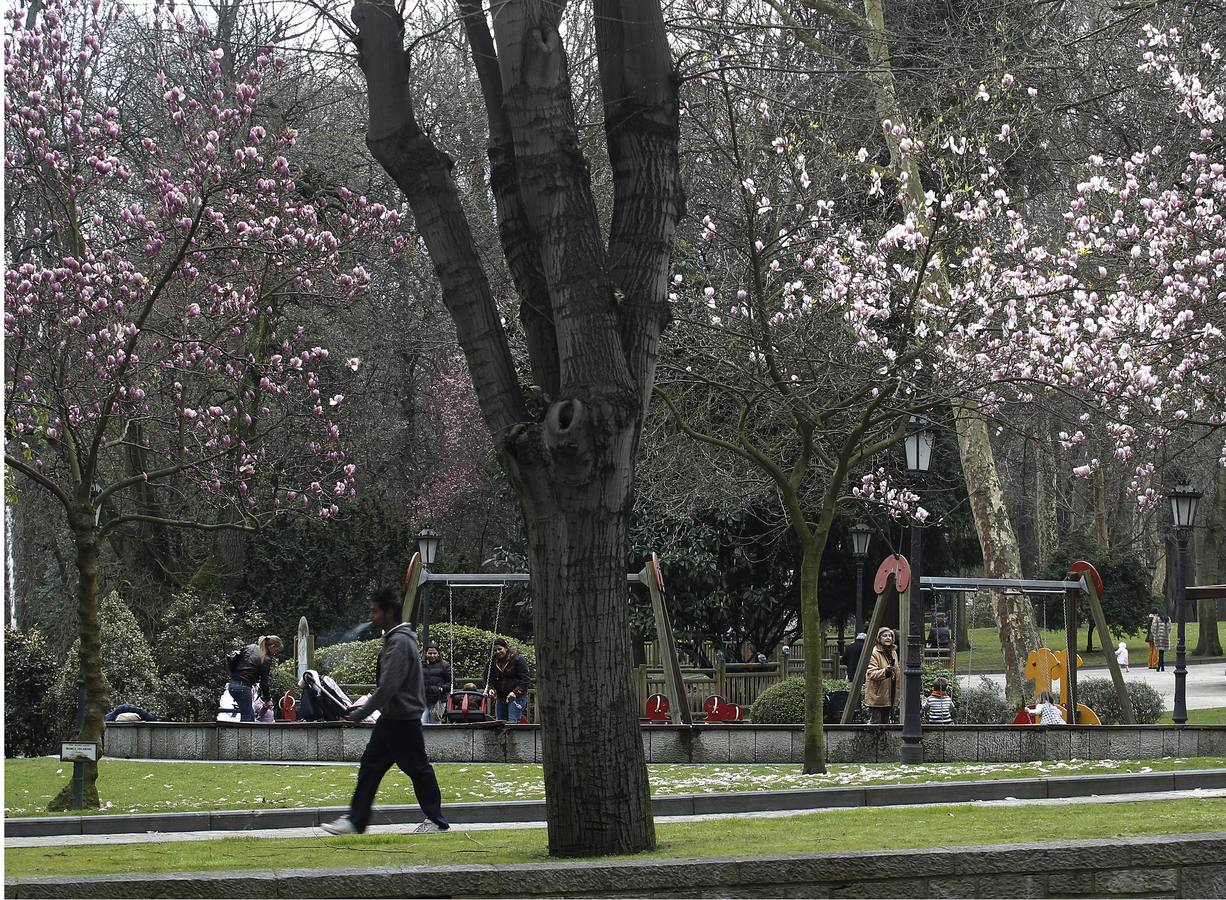 El Campo San Francisco