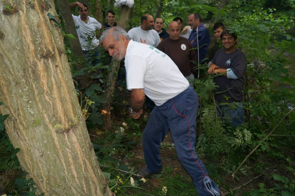 Cangas del Narcea planta el &#039;arbolón&#039;