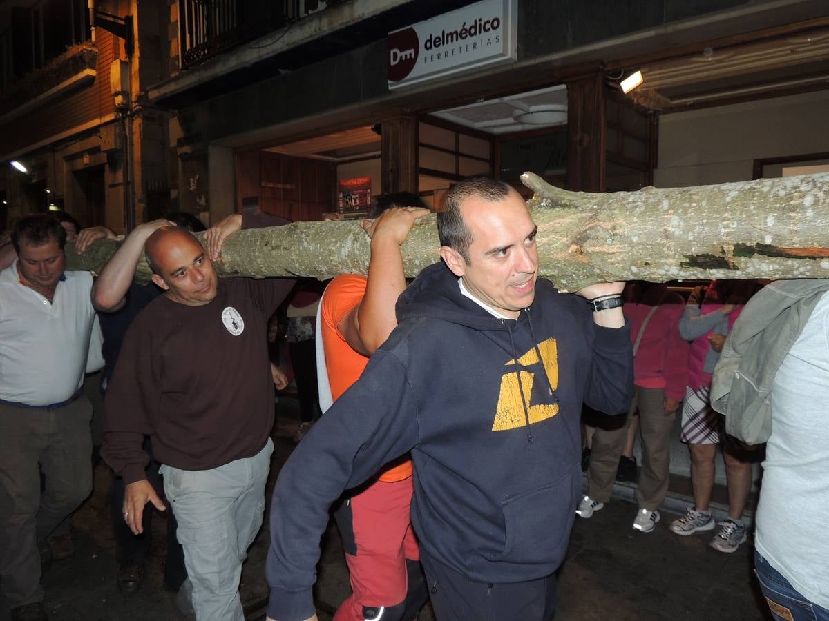 Cangas del Narcea planta el &#039;arbolón&#039;