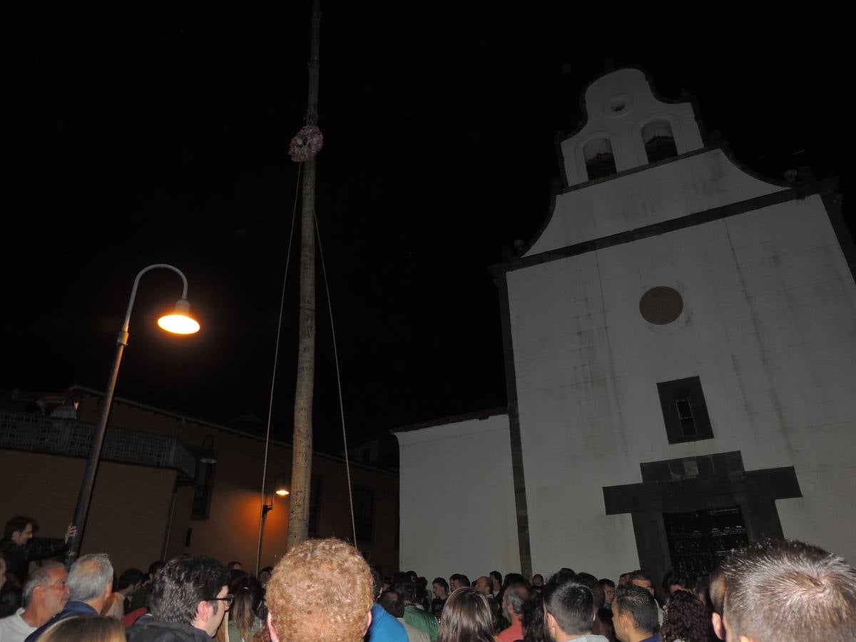 Cangas del Narcea planta el &#039;arbolón&#039;