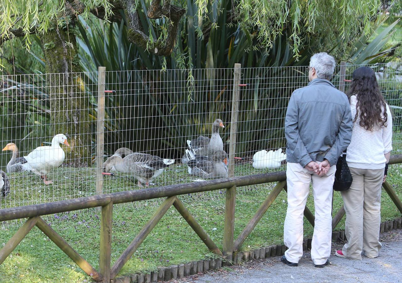 Así es el cercado del parque de Isabel la Católica