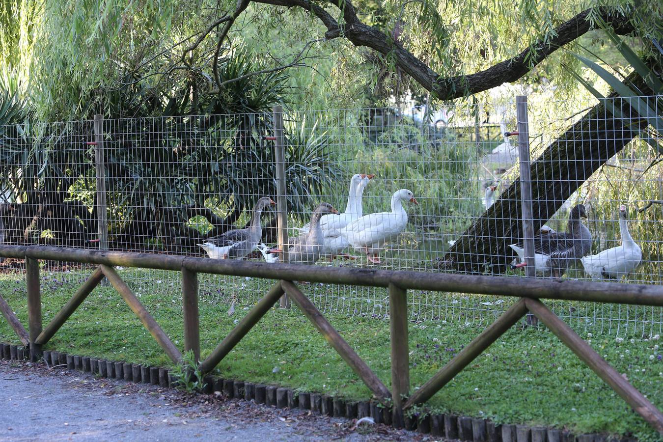 Así es el cercado del parque de Isabel la Católica