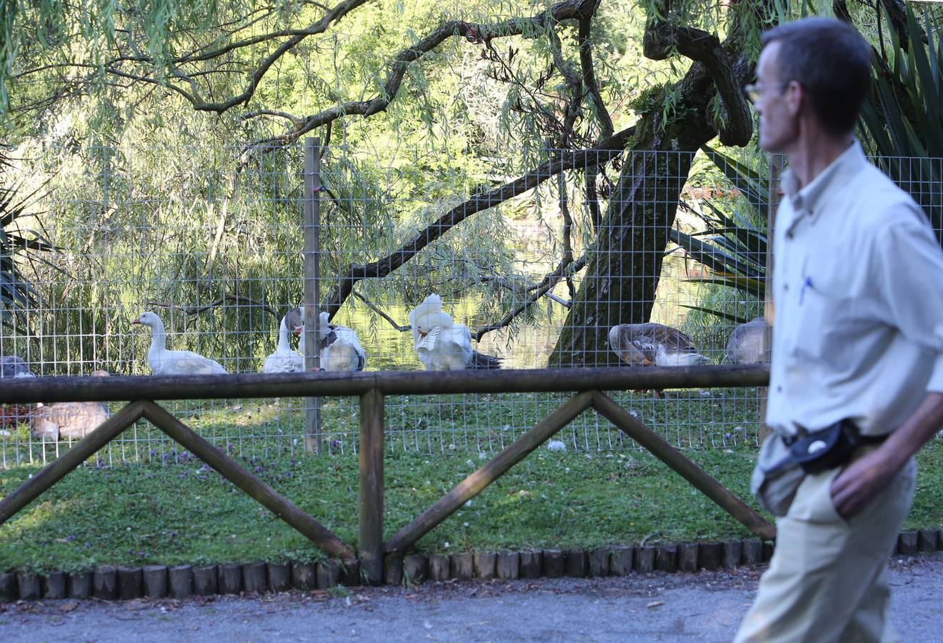 Así es el cercado del parque de Isabel la Católica