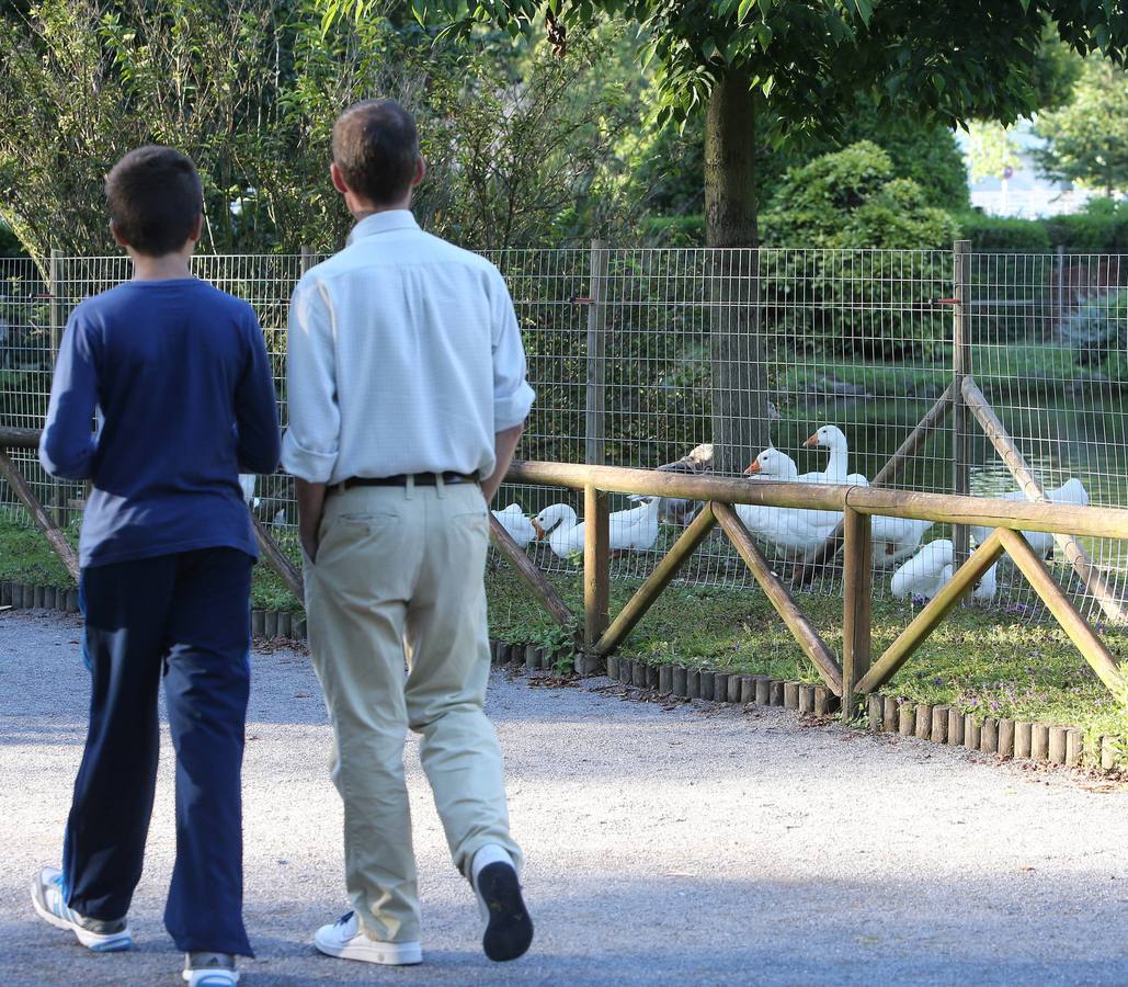 Así es el cercado del parque de Isabel la Católica