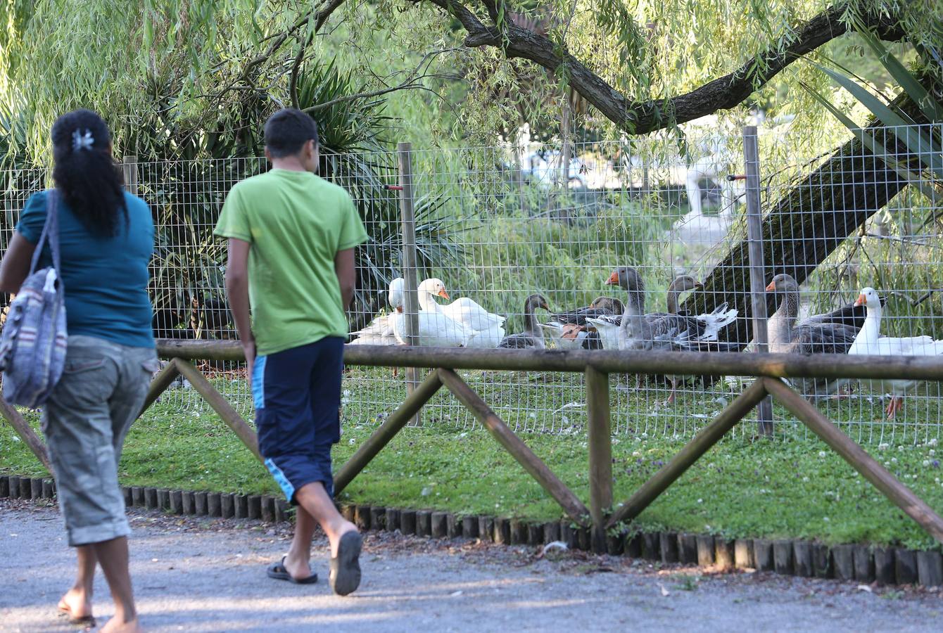 Así es el cercado del parque de Isabel la Católica