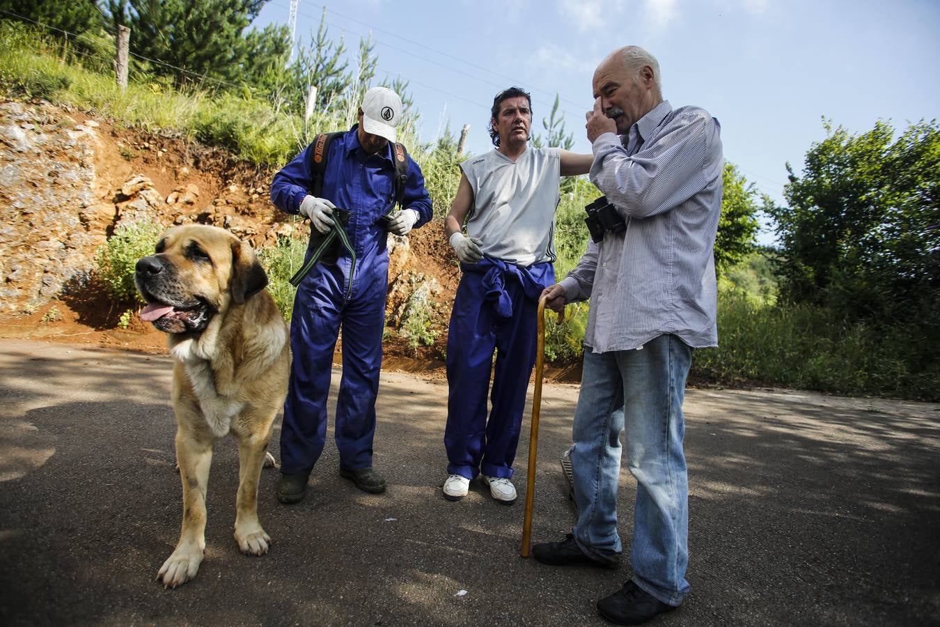 Presos con un trabajo